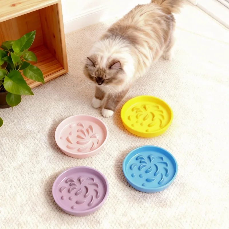 Easy Maze 5-Inch Ceramic Slow Feeder Cat Bowl in an everyday feeding scene