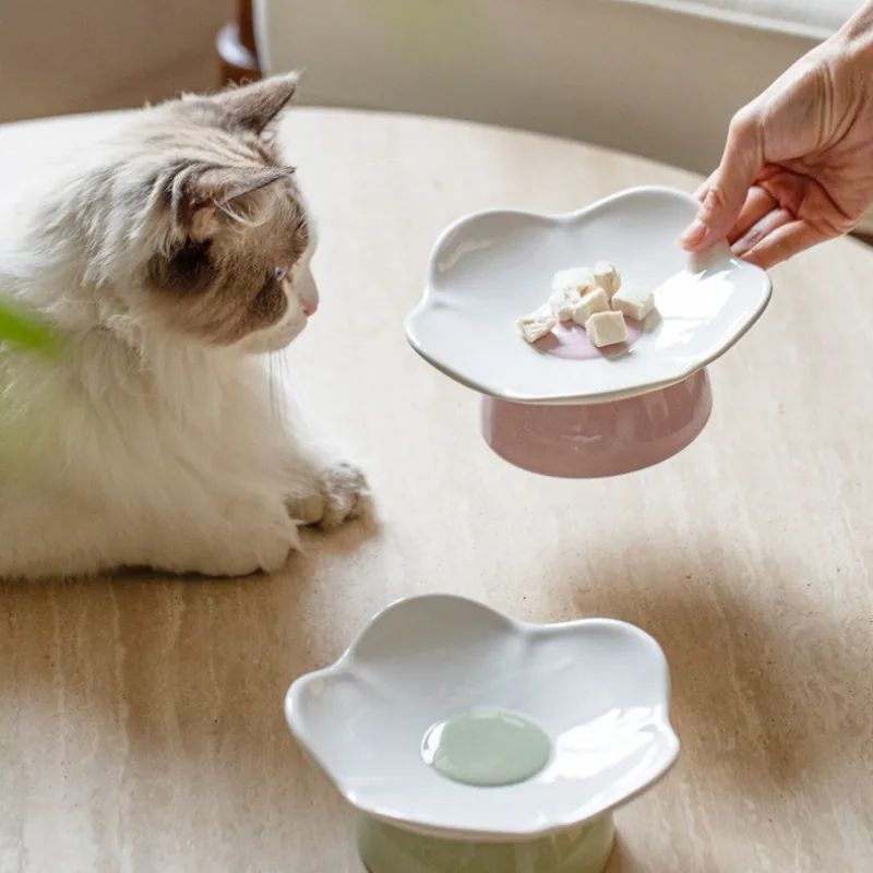 Meadow Rim Elevated Shallow Cat Dish detail 1