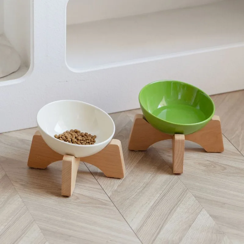 Tilted Grove Ceramic Cat Bowl with Beech Stand