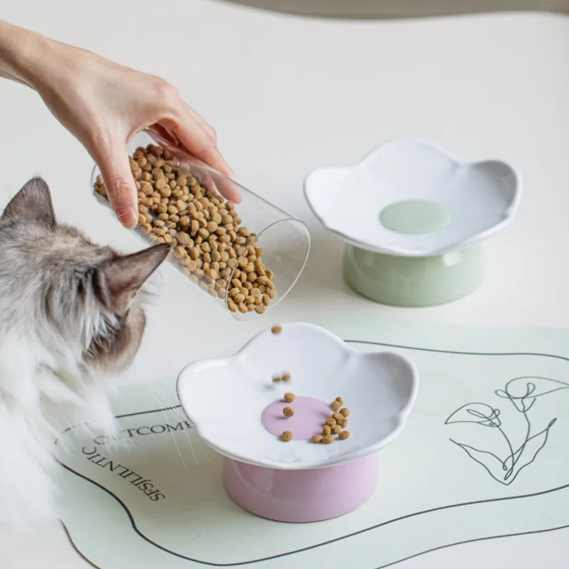 Meadow Rim Elevated Shallow Cat Dish detail 2