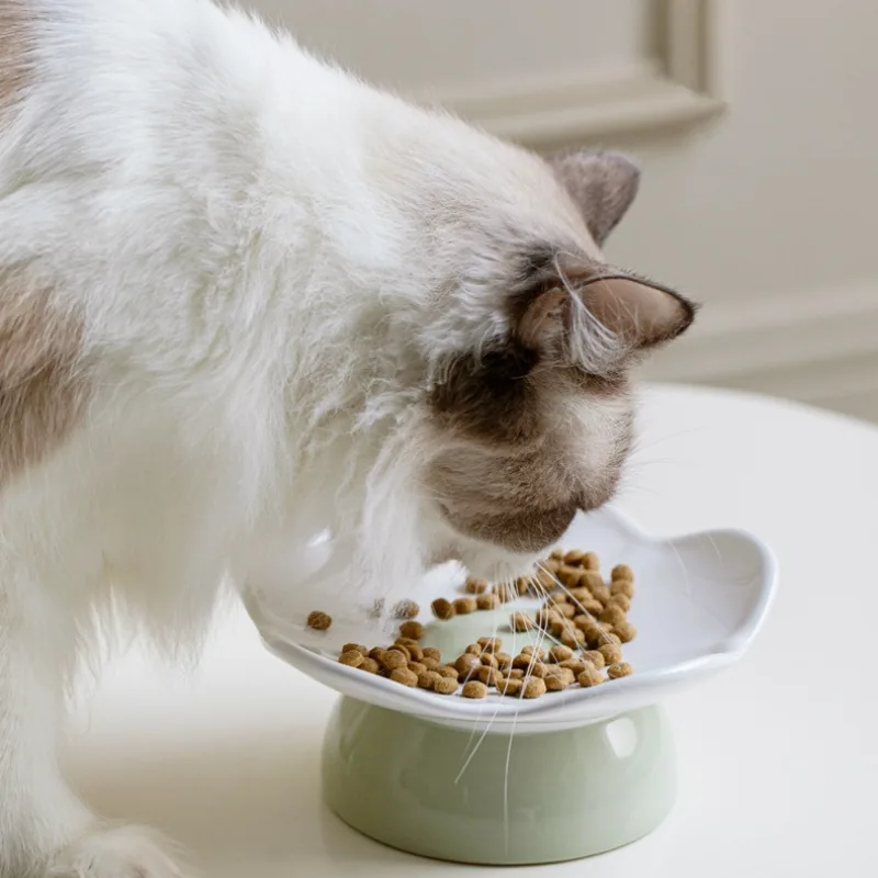 Meadow Rim Elevated Shallow Cat Dish in a natural home feeding scene