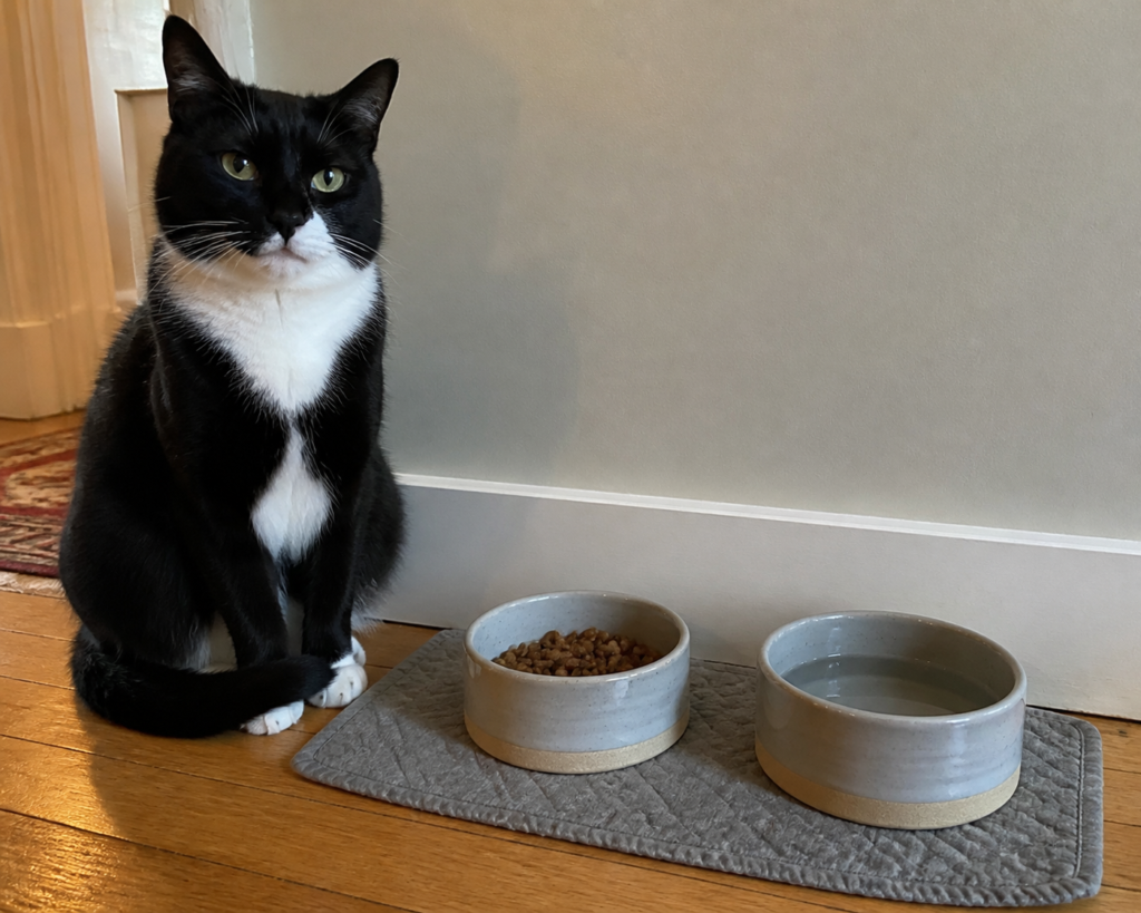 What Cats Tell Us About Bowl Space