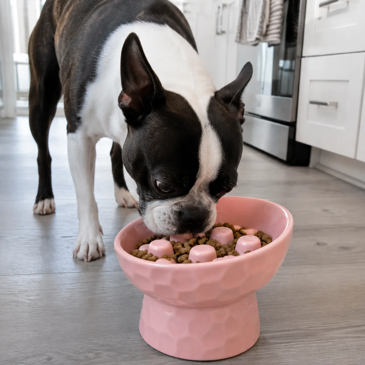 Hammered Rise Ceramic Slow Feeder Dog Bowl detail 1