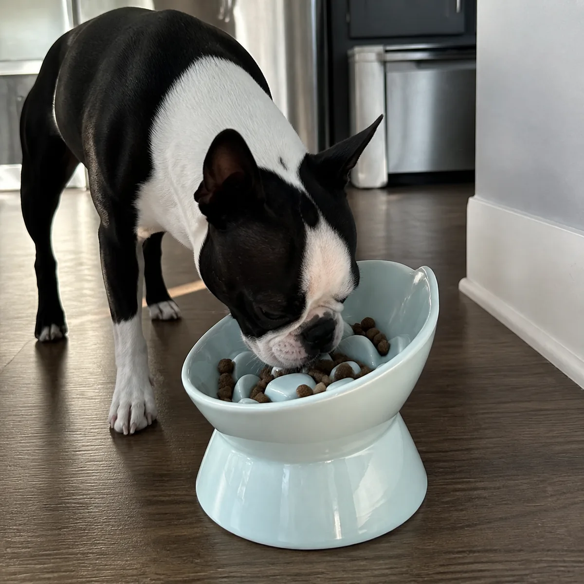 Pebble Path Raised Ceramic Slow Feeder Dog Bowl detail 1