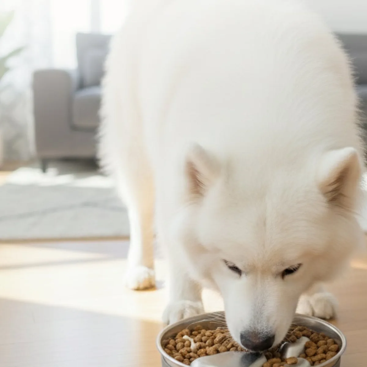 Ridge Route Stainless Steel Slow Feeder Dog Bowl detail 2